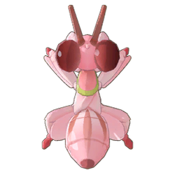Orchid Mantis Icon.png