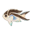 Ornate Angelfish