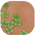 Overgrown Dirt Path