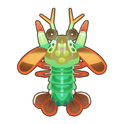 Peacock Mantis Shrimp Icon.png