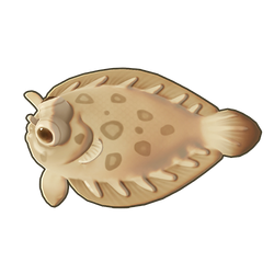 Peacock Sole Icon.png