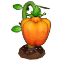 Dreamcrown Crop