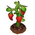 Matured Crop