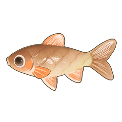 Phoenix Barb Icon.png