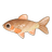 Phoenix Barb