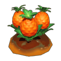 Strange Crop