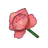 Pink Mooncycle Rose