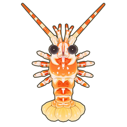 Pink Spiny Lobster Icon.png