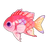 Pink Square Anthias