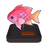 Pink Square Anthias Model