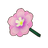 Pink Violet