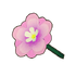 Pink Violet
