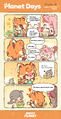 Chapter 3: Veggie Fried Rice Again? Official HoYoLAB Post