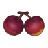 Plum