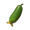 Plump Cucumber