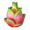 Plump Dragon Fruit