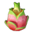 Plump Dragon Fruit