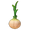 Plump Garlic
