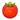 Plump Tomato