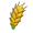 Plump Wheat