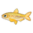 Pond Smelt