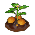 Matured Crop