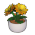 Potted Dahlia