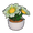 Potted Daisy