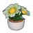 Potted Daisy