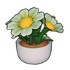 Potted Daisy