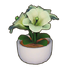 Potted Lily