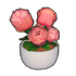 Potted Mooncycle Rose