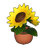 Potted Sunflower