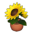 Potted Sunflower