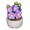 Potted Violet