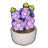 Potted Violet