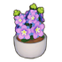 Potted Violet