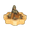 Radiant Star Campfire