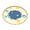 Radiant Star Rug