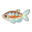 Rainbow Shiner