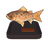 Rainbow Trout Model