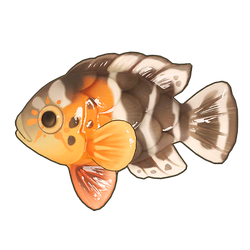 Red-Breasted Wrasse Icon.png