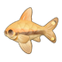 Red-Line Torpedo Barb