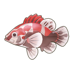 Red-Striped Perch Icon.png