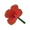 Red Canna