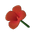 Red Canna