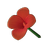 Red Canna