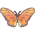 Red False Acraea