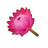 Red King Protea