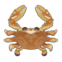 Red Swimming Crab Icon.png